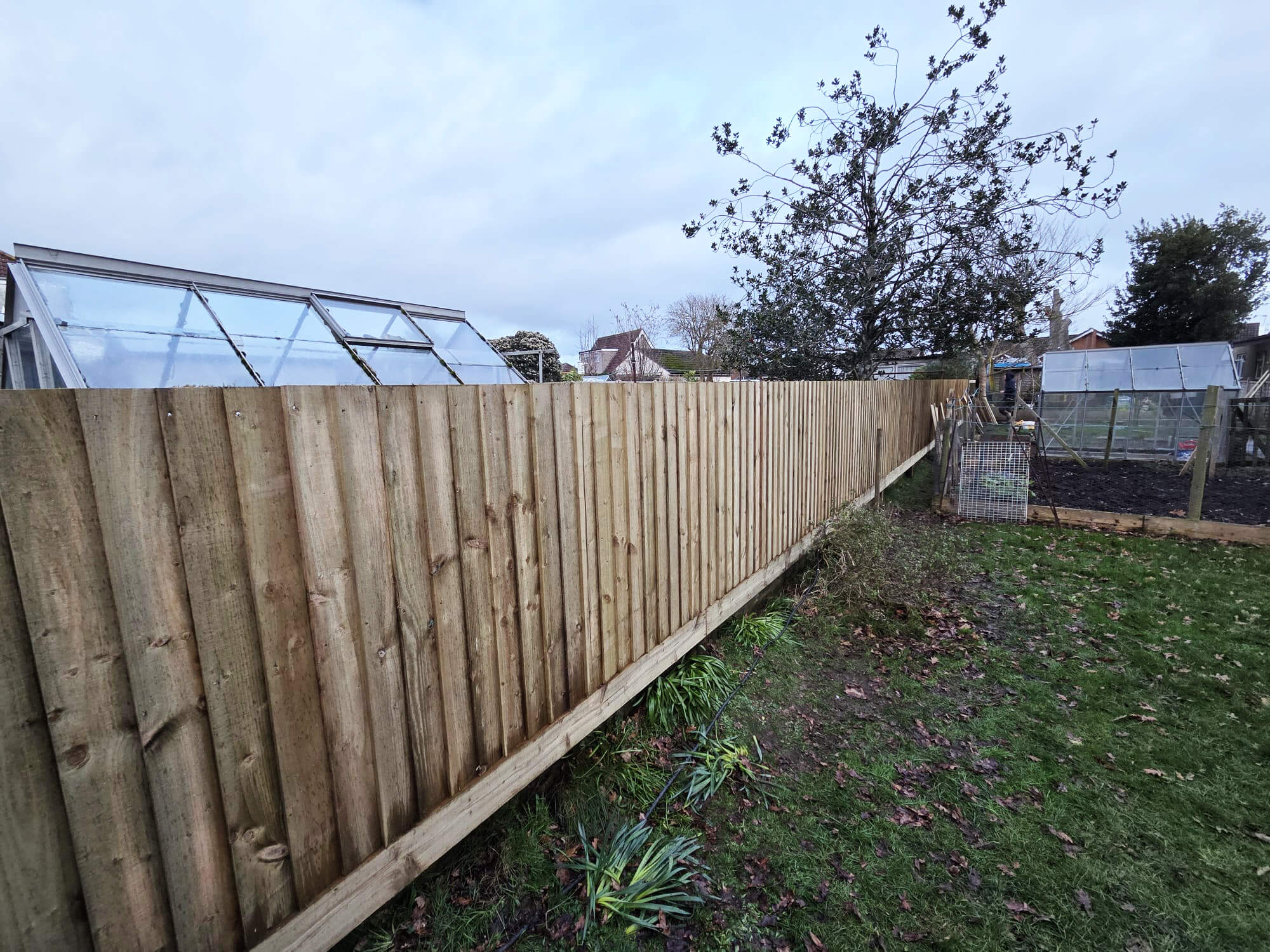 Photo of long run of garden fencing.